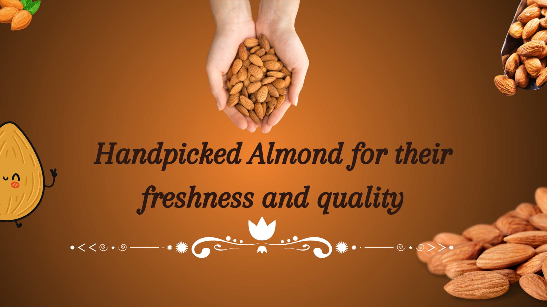 Main Banner Image 1